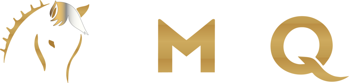 VIMEQ